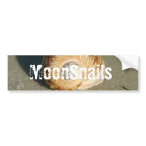 Art Text Eroxion bumper stickers by twighlightmanor Art Text Eroxion bumper stickers