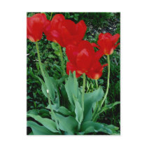 ArtbyLina 54 postcards by ArtbyLina ArtbyLina 54 postcards
