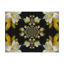 ArtbyLina 56 postcards by ArtbyLina ArtbyLina 56 postcards