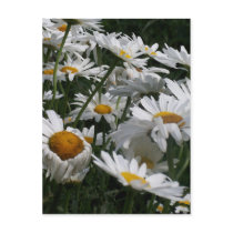 ArtbyLina 58 postcards by ArtbyLina ArtbyLina 58 postcards