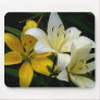 ArtbyLina 59 Mouse Pads
