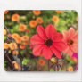 ArtbyLina 66 Mouse Pads