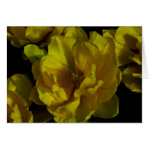 Arte amarillo del tulipán tarjetón