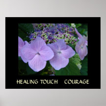 Arte CURATIVO del Hydrangea del VALOR de los regal Poster