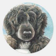 Arte original portugués Stickert del perro de agua Etiqueta Redonda