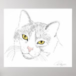 tablet pc | cat, artemis, tablet, drawing, cats cat, artemis, tablet, drawing, cats