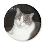 Artemis Refrigerator Magnets