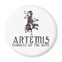 Artemis Magnets