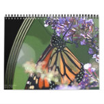 arteology calendar