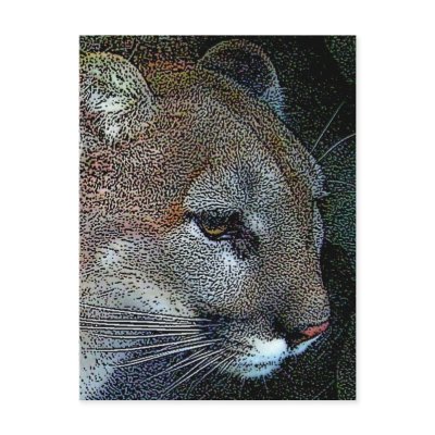 Artful Nature Cougar Postcard by SialiciousStationary