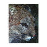 Artful Nature Cougar Postcard