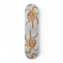 Arthritic spider, conch custom skate board