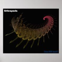 Arthropoda Posters