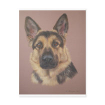 Arthur - German Shepherd Post Cards