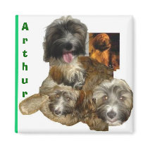 arthur magnet by kagra18 arthur magnet