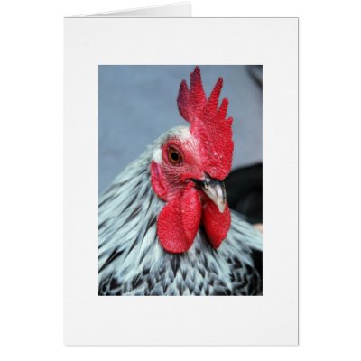 Arthur note card by MixedBlessings