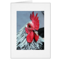 Arthur note card