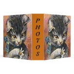 Arthur Thiele - Cat in Love binders