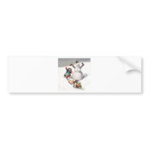 Arthur Thiele Cats Playing in the Snow Bumper Stickers