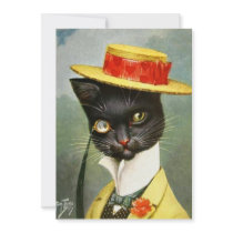 Arthur Thiele - Mr. Cat Announcement