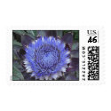 artichoke bloom in purple postage by myfloralgarden artichoke bloom in purple postage