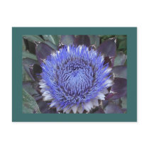 Artichoke Bloom Postcard