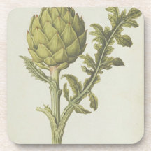 Artichoke: Cynara scolymus, c.1568 Beverage Coasters