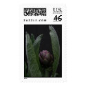 artichoke stamp