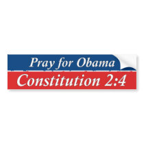 Article 2 Section 4 Bumper Sticker