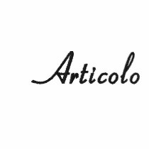Articolo embroidered shirts
