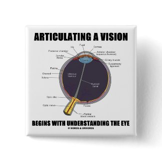 Articulating A Vision Begins Understanding Eye button