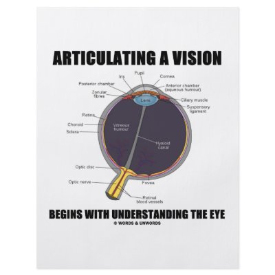 Articulating A Vision Begins Understanding Eye Flyer Design by wordsunwords