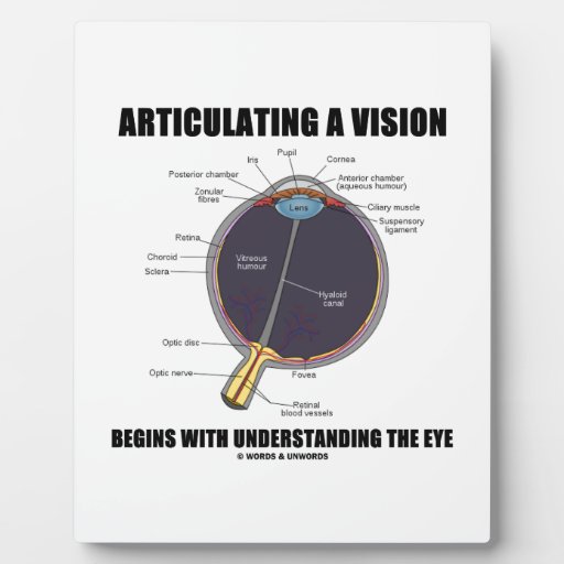 Articulating A Vision Begins Understanding The Eye Plaque Zazzle