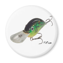 Artificial Bait, Tackle, Fishing Gear Magnet