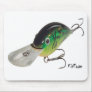 Artificial Bait, Tackle, Fishing Gear