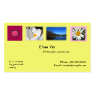 Artist, photographer, zazzler business card business cards