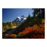 Artist Point cards