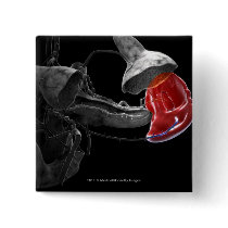 Artistic 3d rendering of the spleen pinback buttons