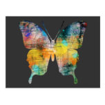 Artistic Butterfly Post Cards