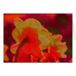 artistic daffodils greeting card