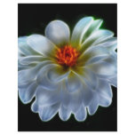 Artistic dahlia and meaning flyers