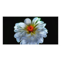 Artistic dahlia and meaning photo card