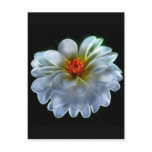 Artistic dahlia and meaning postcard