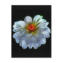 Artistic dahlia and meaning postcard