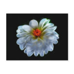 Artistic dahlia and meaning postcards