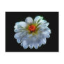 Artistic dahlia and meaning postcards