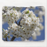 artistic flowers mousepads