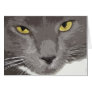 Artistic Gray Cat Face Card