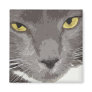 Artistic Gray Cat Face Fridge Magnet