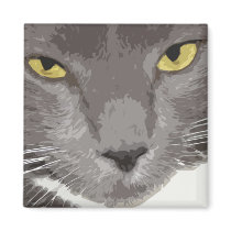 Artistic Gray Cat Face magnets by cre8iveheart Artistic Gray Cat Face magnets